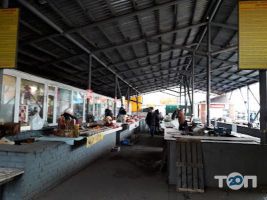 Севастопольський відгуки фото