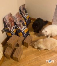 Shop pet petslike.net, зоомагазин фото