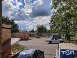 DarkWood відгуки фото