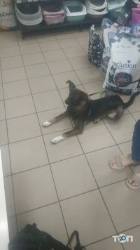 БелліZoo Хмельницький фото