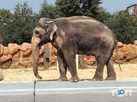 Харківський зоопарк відгуки фото