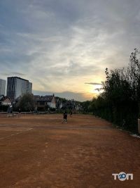 Dynamo відгуки фото