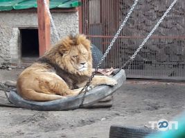 Харківський зоопарк Львів фото