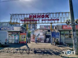 Продовольчі бази і ринки Селянка фото