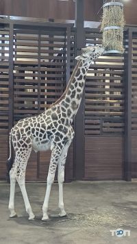 відгуки про Харківський зоопарк фото