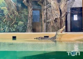 Харківський зоопарк фото