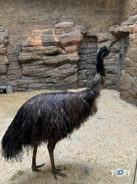 Зоомагазини і послуги для тварин Харківський зоопарк фото