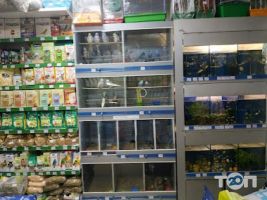 Zoopolis, зоомагазин фото