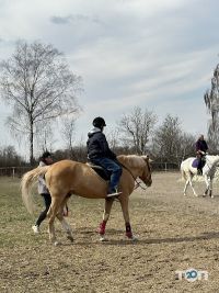 Супермаркеты, продуктовые магазины Бодо фото