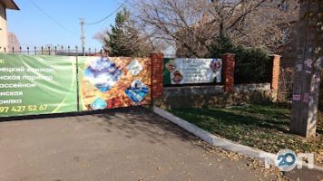 відгуки про Золотий Кубок фото