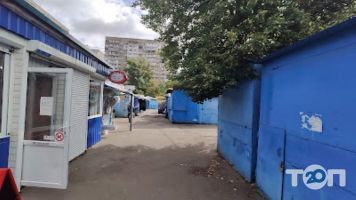 Жолудєва відгуки фото