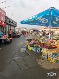 відгуки про Жолудєва фото