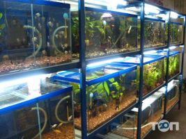 Zoomar відгуки фото