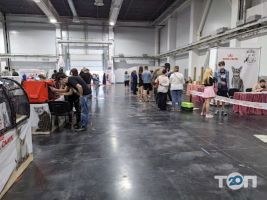 Международный выставочный центр Киев фото