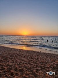 Lis Travel відгуки фото