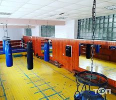 Північне Сяйво відгуки фото