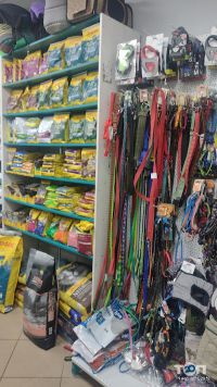 відгуки про Brider фото