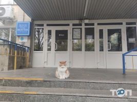 Бібліотека ім. Чижевського фото