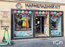 Мармеладний кіт Львів фото