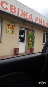 Продовольчі бази і ринки Свіжа риба фото