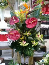 Продовольчі бази і ринки Орхідея Квітковий ринок фото