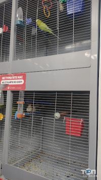 Brider, товари для тварин фото