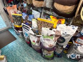 Дивокіт, зоомагазин фото