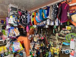 відгуки про Дивокіт фото