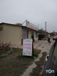 Свіжа риба Київ фото