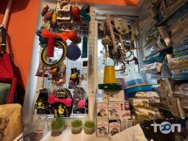 Зоомагазини і послуги для тварин Дивокіт фото