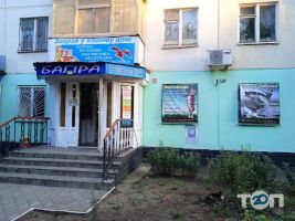 Багіра, зоомагазин фото