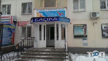 Багіра Кривий Ріг фото