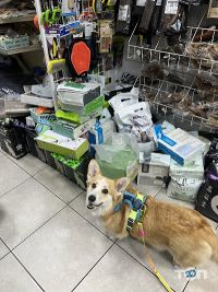 Зоологія відгуки фото