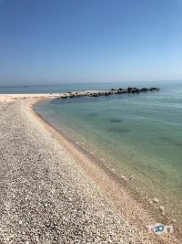 відгуки про Орхідея фото