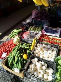 12 квартал відгуки фото