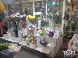 Людмила відгуки фото