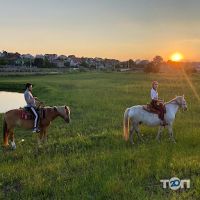 Кінні прогулянки Львів фото