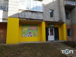 Goldfish, зоомагазин фото