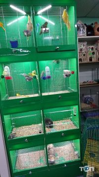 Зоомагазини і послуги для тварин Зоосвіт 2 фото