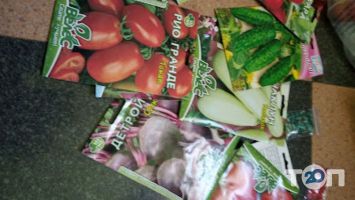 Подільський міський ринок Кропивницький фото