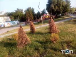 FreeGen Space відгуки фото