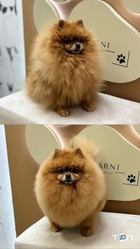 відгуки про Arni groom фото