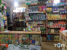 відгуки про Зоомагазин фото