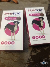 ZooHub Киев фото