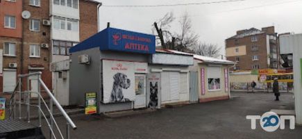 Royal kanin Кропивницкий фото