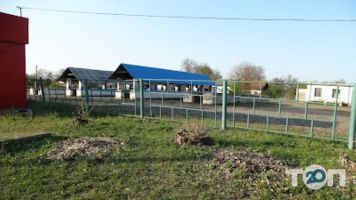 Димитровський центральний ринок відгуки фото