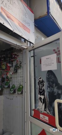 Royal kanin отзывы фото