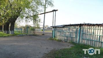 Димитровський центральний ринок Кропивницький фото
