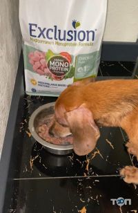 Zoolandia.com.ua, товары для животных фото