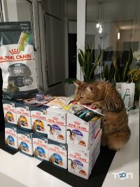 отзывы о Zoolandia.com.ua фото